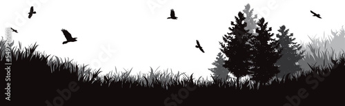 Vector silhouette of forest.