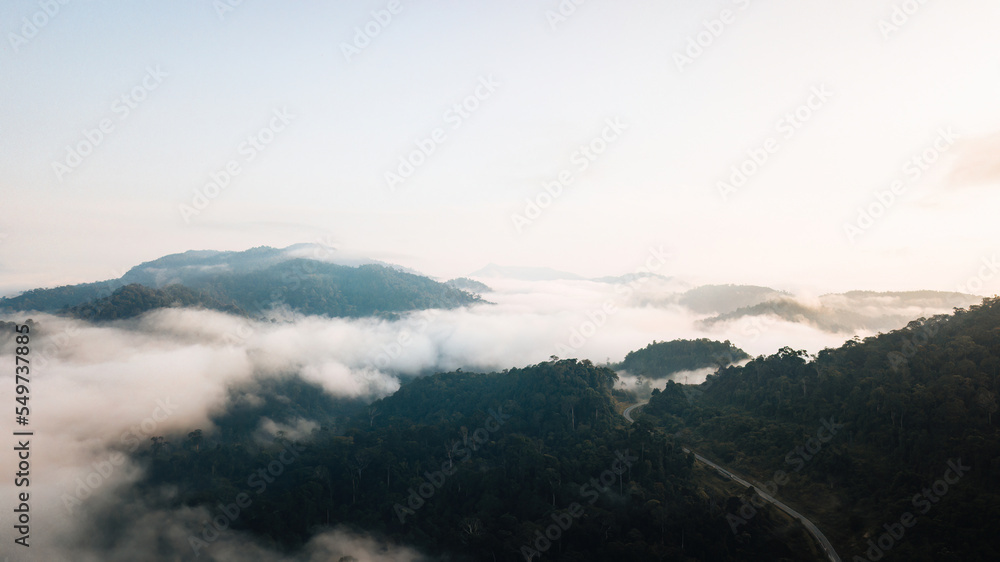 Aerial view of mist, blanket cloud and fog hanging over a lush tropical rainforest in the morning.