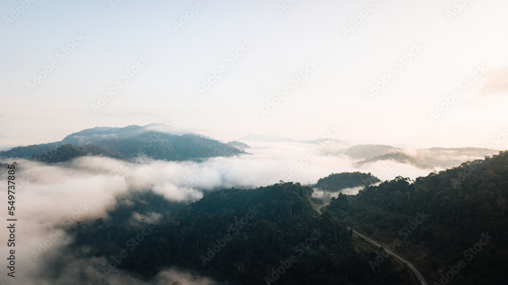 Aerial view of mist, blanket cloud and fog hanging over a lush tropical rainforest in the morning. Aerial view of mist, blanket cloud and fog hanging over a lush tropical rainforest in the morning.