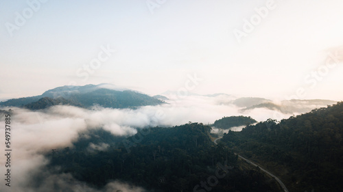 Aerial view of mist  blanket cloud and fog hanging over a lush tropical rainforest in the morning.