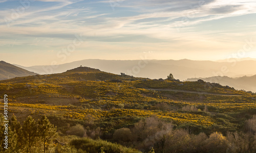 Tableau sur toile Paisagem de um monte com as suas flores florescidas recebendo as suas ultimas luzes do dia