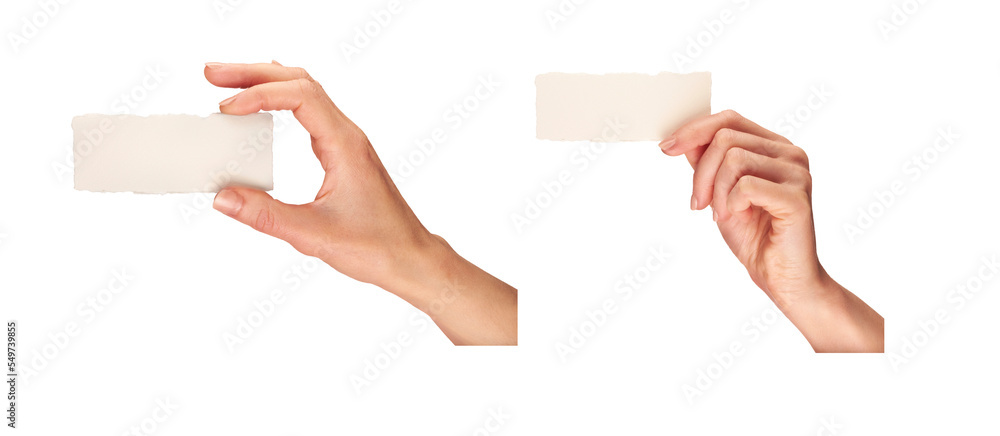 Female, women's hands, fingers and thumb, holding a business card isolated against a transparent background.