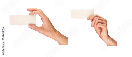 Female, women's hands, fingers and thumb, holding a business card isolated against a transparent background.