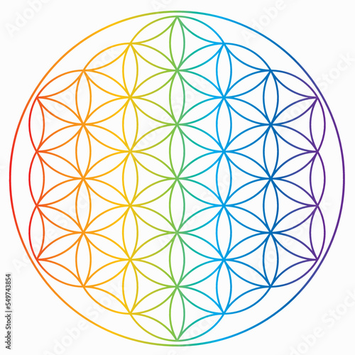 Symbole de la fleur de vie aux couleurs de l'arc-en-ciel, roue énergétique de l'univers cosmique