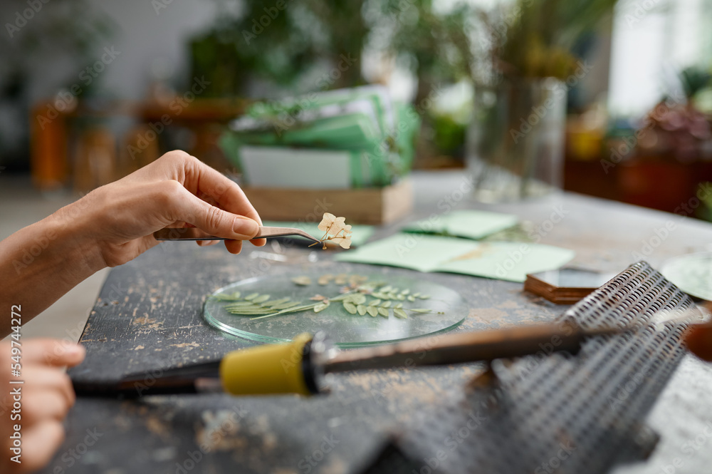 Fototapeta premium An artist making creative floral composition