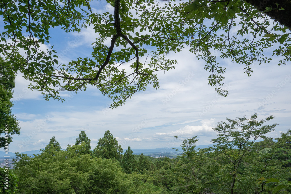 Obraz premium 初夏の春日山神社から上越市を臨む