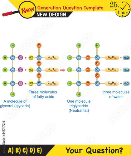 Biology - basic components of living things, sugar, phosphate, fat, protein, vitamin, DNA, RNA, bonds, next generation question template, exam question, eps