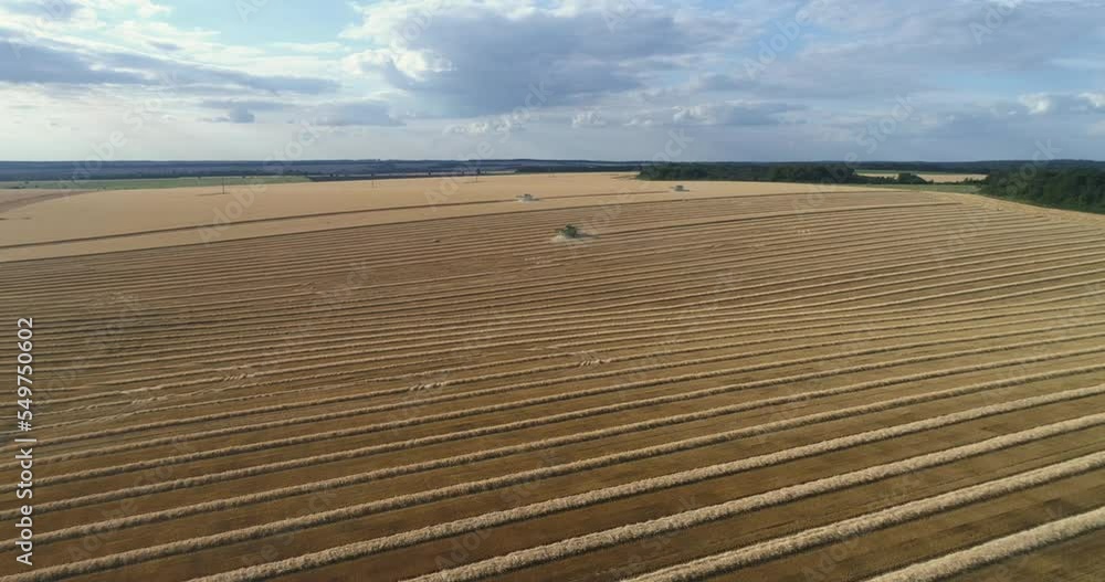Aerial side view of combine harvester on the wheat field. Industrial footage on agricultural theme. Agriculture from the air. High quality 4k footage Aerial side view of combine harvester on the wheat field. Industrial footage on agricultural theme. Agriculture from the air. High quality 4k footage