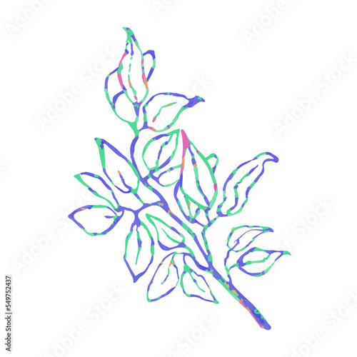 Vector Colorful Illustration of Herb Isolated on White Background