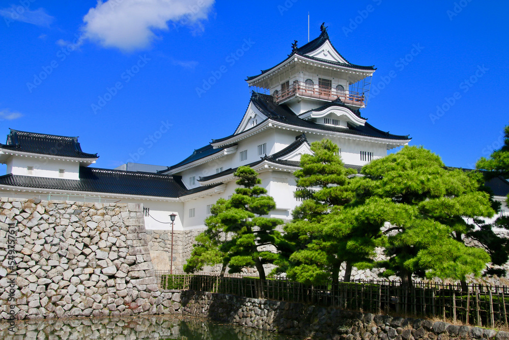 Fototapeta premium 富山城(富山県・富山市)
