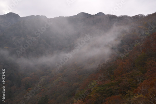 Fototapete 雲のかかった秋の山