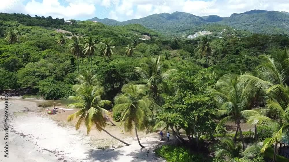 Small beach after the storm in Grenada with plam trees and rainforest Small beach after the storm in Grenada with plam trees and rainforest