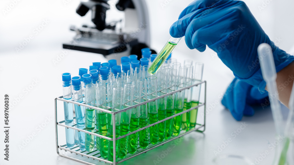 Lab assistant, a medical scientist, a chemistry researcher holds a glass tube through the blood sample, does a chemical experiment and examines a patient's blood sample. Medicine and research concept. Lab assistant, a medical scientist, a chemistry researcher holds a glass tube through the blood sample, does a chemical experiment and examines a patient's blood sample. Medicine and research concept.
