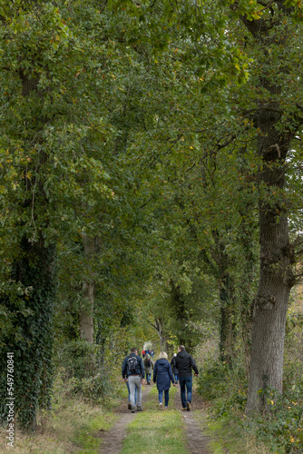 walkers in nature, reestdal, de wijk netherlands, strolling, forest, © A