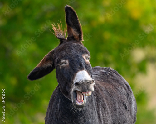 You want it WHEN?!?!?!?!?