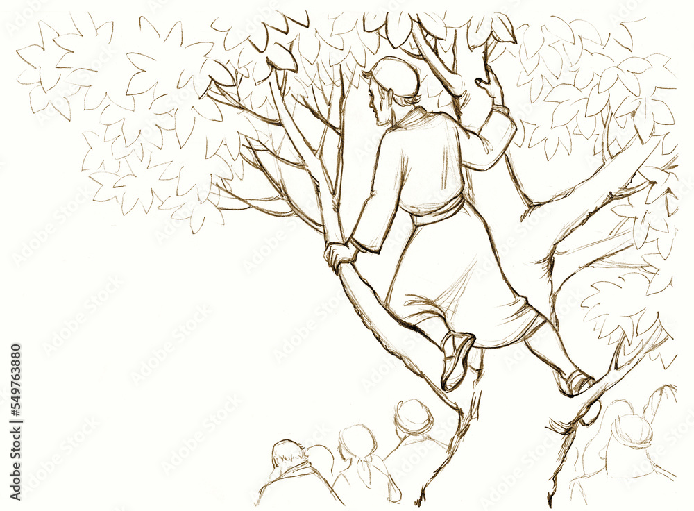 Zacchaeus. The man in the tree looks out into the crowd. Pencil drawing