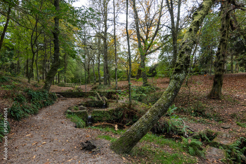 Lago Casti  eiras  entre Vilaboa y Mar  n  Galicia  Espa  a 