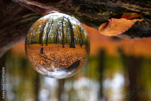 Quadro em tela Nice crystal boll in autumn forest, abstract and nature
