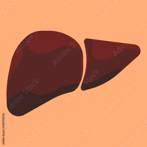 liver icon on light background