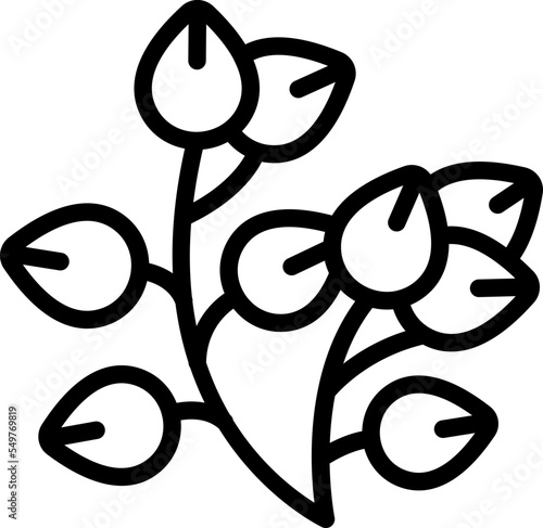 Plant buckwheat icon outline vector. Seed stem. Flower cereal