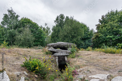 Exterior de la mámoa do Rei, en Chan de Castiñeiras (Galicia, España) photo