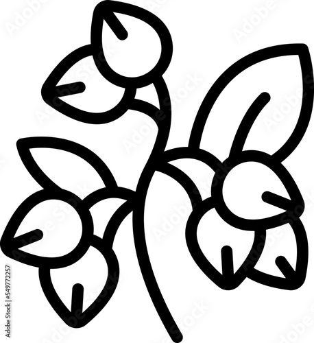 Flower buckwheat icon outline vector. Cereal plant. Nature organic