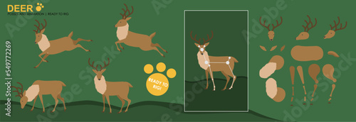 Cute Festive Woodland Reindeer ready to rig for animation, multiple poses, leaping, eating, Christmas scene, animation character. Xmas character for Christmas animations Forest animation
