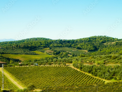 Landscape of the Tuscan vineyards  Italy