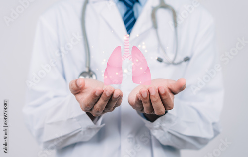 doctor hands holding lungs organ , world tuberculosis day, world no tobacco day, lung cancer, Pulmonary hypertension, copd, eco air pollution, pneumonia, donation, respiratory and chest concept