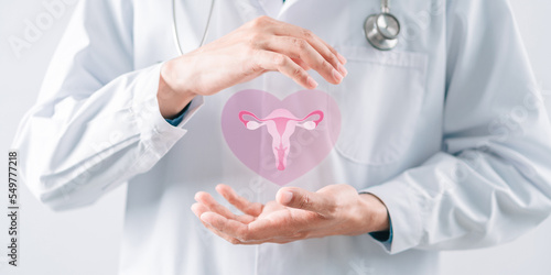 doctor in a white coat holding virtual uterus reproductive system , woman health, PCOS, ovary gynecologic and cervix cancer, Healthy feminine concept photo