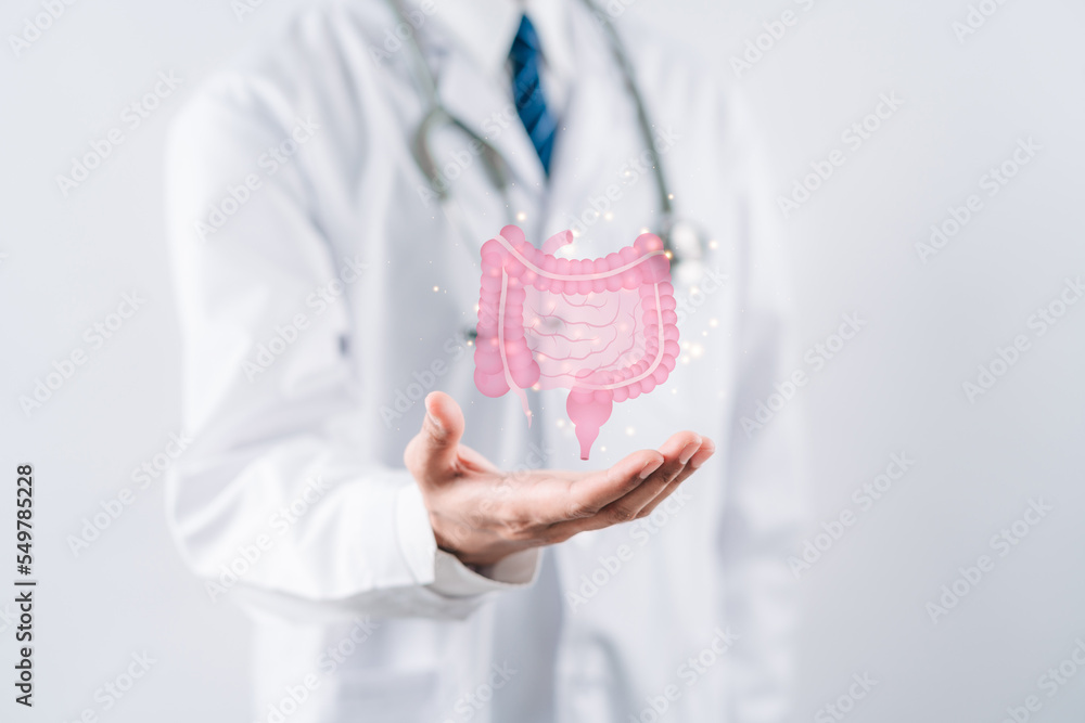 doctor in a white coat hands holding stomach with intestine virtual icon, probiotics food for