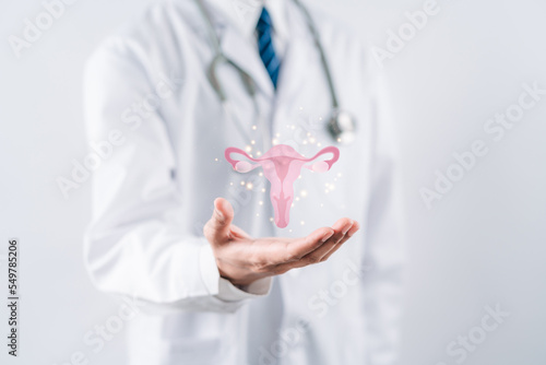 doctor in a white coat holding virtual uterus reproductive system , woman health, PCOS, ovary gynecologic and cervix cancer, Healthy feminine concept