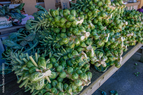 Fresh stalks of Brussel sprouts in Farmer's Market