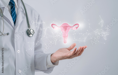 doctor in a white coat holding virtual uterus reproductive system , woman health, PCOS, ovary gynecologic and cervix cancer, Healthy feminine concept photo