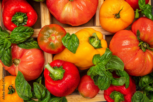 Fototapeta Naklejka Na Ścianę i Meble -  fresh tomatoes, pepper and basil. Healthy food. Gardening. top view