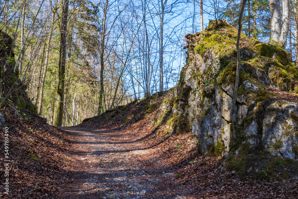 A forest path between two rocks in the Wiesent valley near Gößweinstein/Germany in Franconian Switzerland in spring A forest path between two rocks in the Wiesent valley near Gößweinstein/Germany in Franconian Switzerland in spring