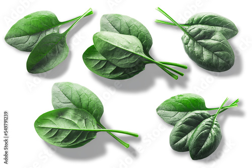 Fresh spinach leaves Spinacia oleracea top view isolated png photo