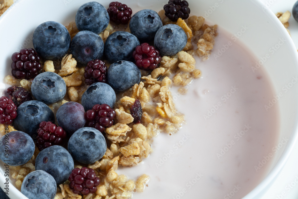 There is yogurt in a white plate. Sprinkled with granola and blueberries. Macro. There is yogurt in a white plate. Sprinkled with granola and blueberries. Macro.