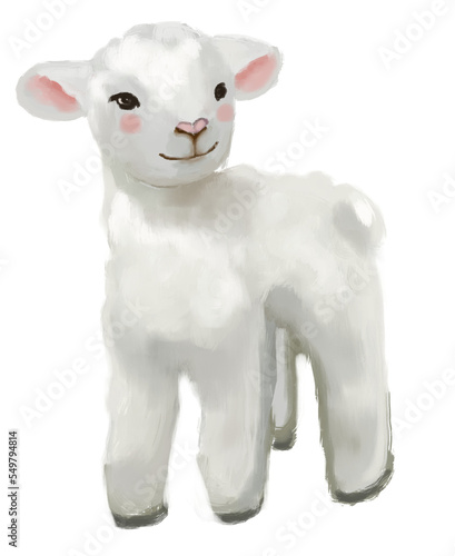   ute little sheep isolated on white  png illustration for kids  children.