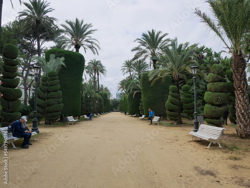 veduta della città di cadice photo