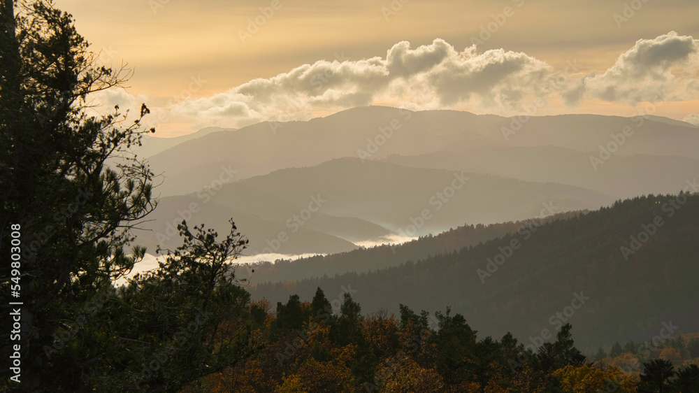 Blick aus den Vogesen auf das Nebelmeer in der Rheinebene Blick aus den Vogesen auf das Nebelmeer in der Rheinebene