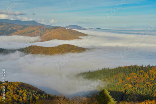 Blick aus den Vogesen auf das Nebelmeer in der Rheinebene