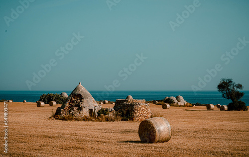 COAST OF THE TRULLI  - RIPAGNOLA,  POLIGNANO A MARE, PUGLIA, ITALY