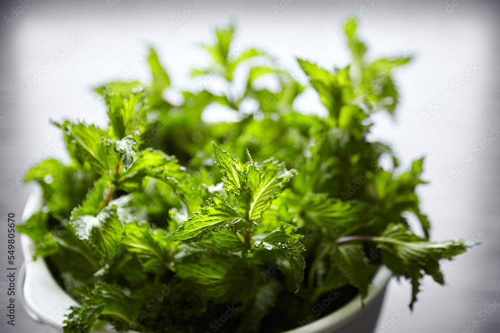 Fresh mint herb leaves in white bowl on wooden kitchen table. Green mint bunch. Cooking food with fresh mint herb ingredient Fresh mint herb leaves in white bowl on wooden kitchen table. Green mint bunch. Cooking food with fresh mint herb ingredient