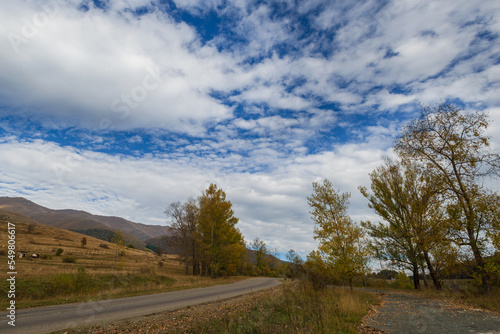 Fabulous autumnal scene with trees and cloudy sky, Armenia