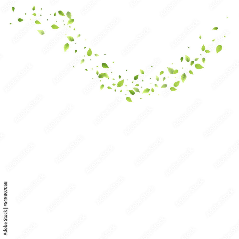 Leaves Green Falling Flying Foliage Leaf Tea Mint Leaves Green Falling Flying Foliage Leaf Tea Mint