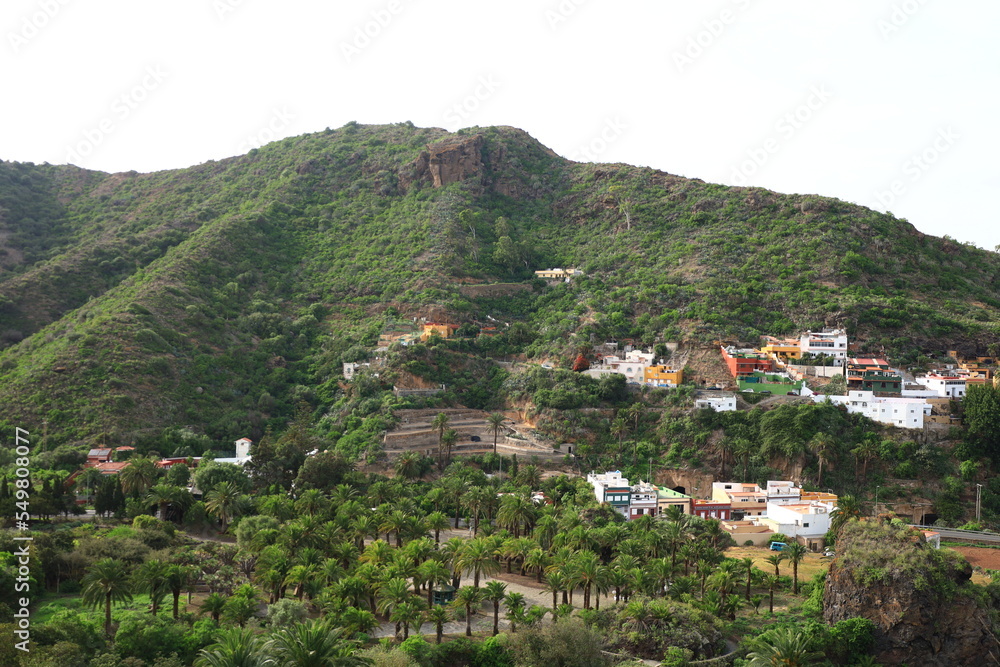 View in the Canary Botanic Garden Viera y Clavijo in the north of Gran Canaria
