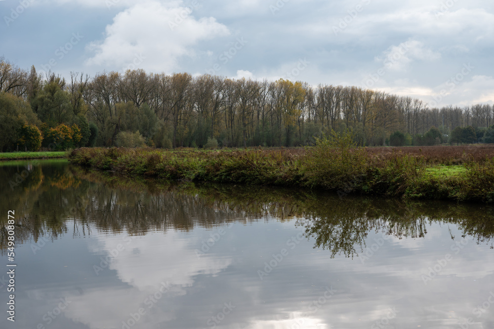 Trees reflecting in the water of the River Dender, Erembodegem, Belgium