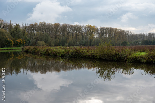 Trees reflecting in the water of the River Dender, Erembodegem, Belgium