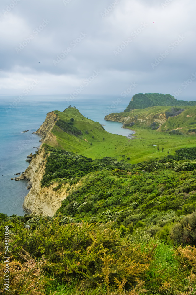 Aerial view of the sheltered Cooks Cove (Opoutama), Tolaga Bay, East Coast, North Island, New Zealand. Captain Cook anchored here in 1769.
